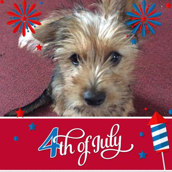 Meet your Posher, Phyllis - Picture 1 of 1